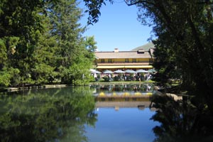 Duck Pond