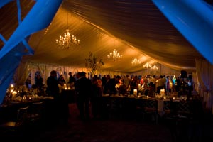 Dollar Wedding