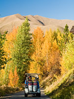 Aspen Glow Package