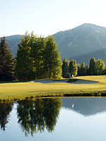 Summer Swing Package